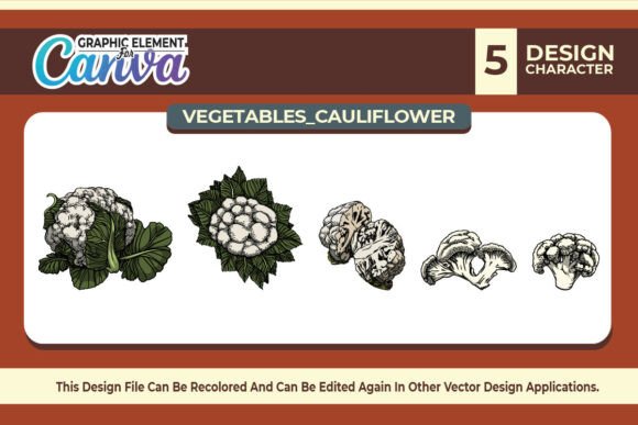Cauliflowers Vegetables Vector Set: Graphics for Canva & Real Publishing