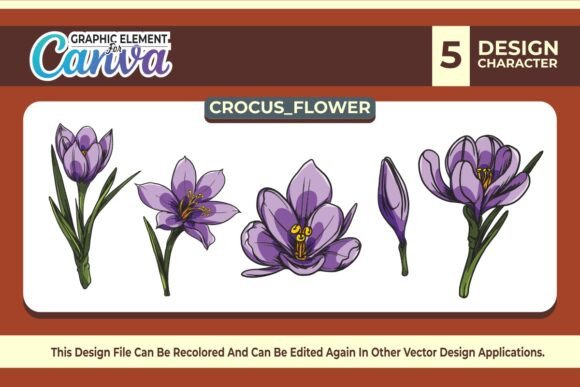 Crocus Flowers Graphic Element Vector Se for Canva Graphics
