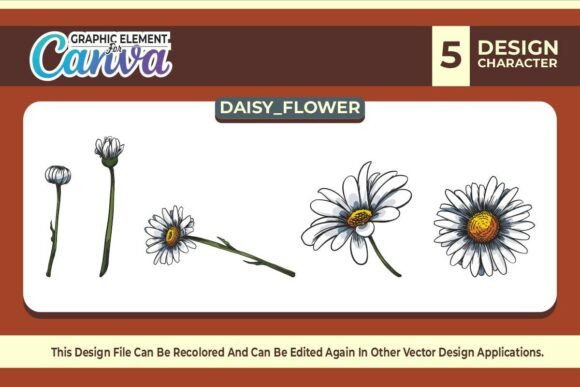 Daisy Flowers Graphic Element Vector Set: Canva Graphics