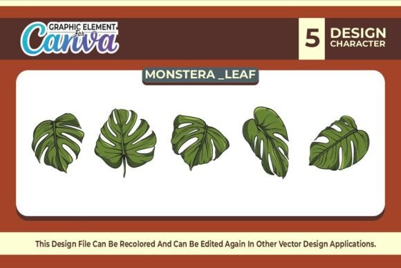 Monstera Leaf Graphic Element Vector Set for Canva & Graphics